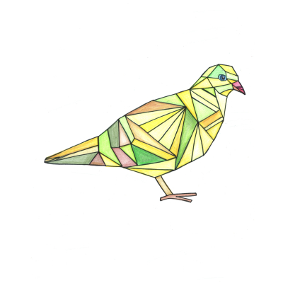 27. Wivy
