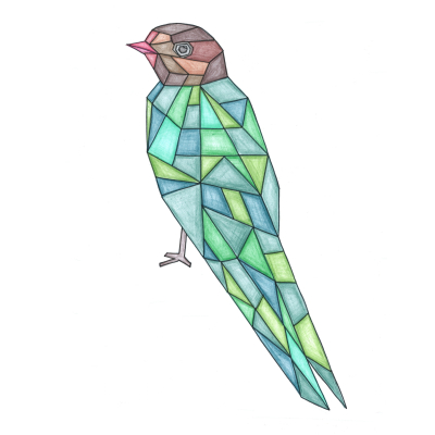 28. Xylia